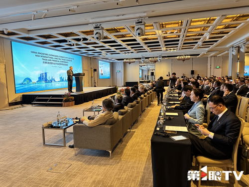 共話合作與發展 2025陸海新通道國際合作論壇暨中新金融峰會在新加坡啟動