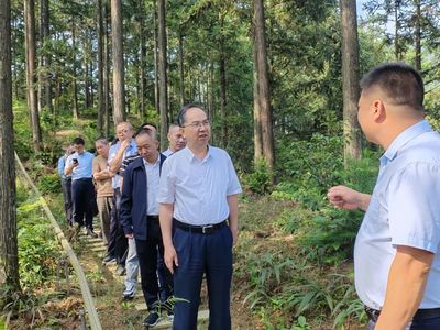 科技賦能，生態富民 福建省林業局領導赴福州、寧德調研林下經濟與電子產品銷售新模式
